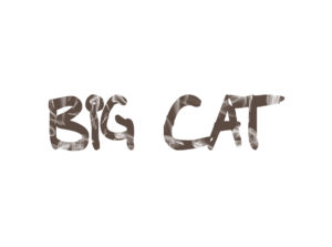 RMP Big Cat Blank