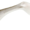 Westin ShadTeez 16cm – Bild 5