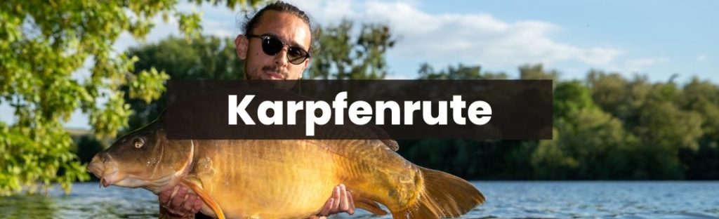 Ringaufteilung Karpfenrute