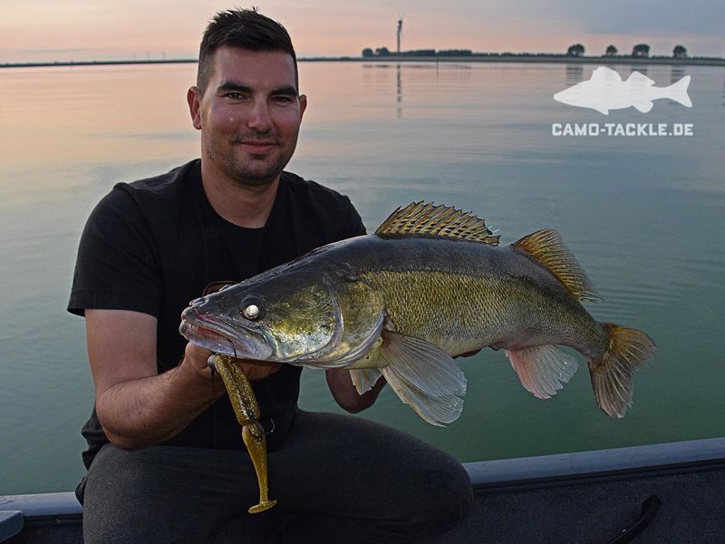 Gambler GZ Swimbait Zander