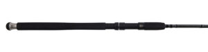 CMW XST Meerforelle 2,95m 08-40g