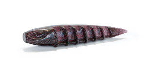 Nays ND Ned Bait C-19