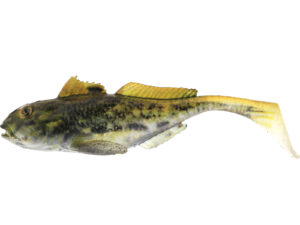 Westin Gunnar The Goby Black Mouth
