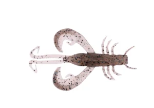 Zeck BA Edward in Ghost Shrimp