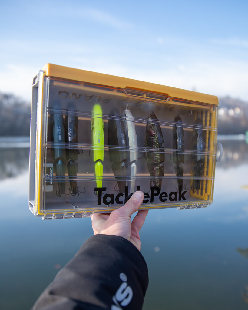 Plano Swimbait Box EDGE 3700 Beispiel