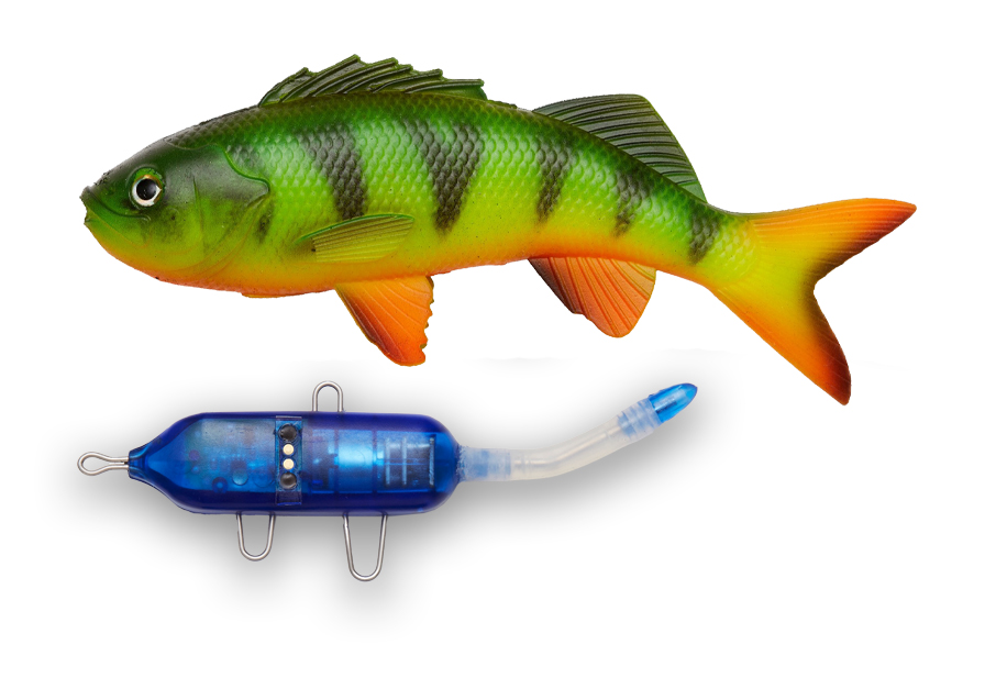 Pulz Bait Starter Kit Firetiger