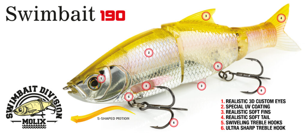 Molix Swimbait 190 F Details